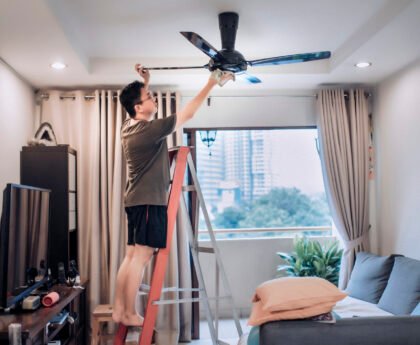 Ceiling Fan Clean