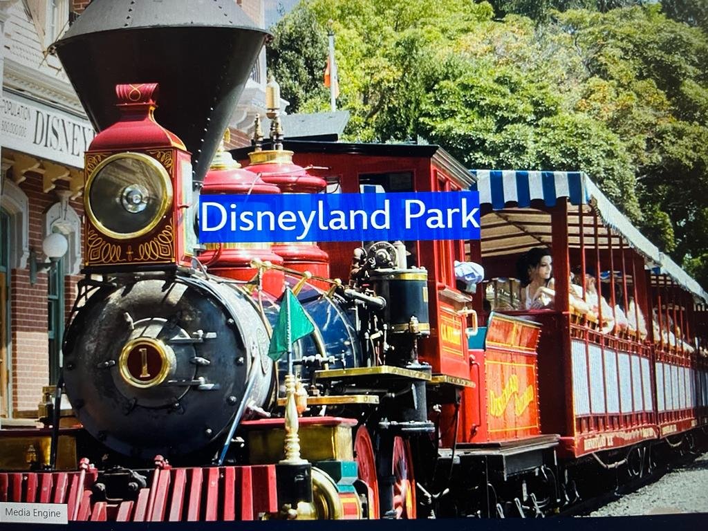 Disneyland Park