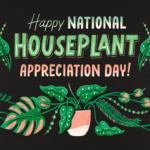 National Houseplant Appreciation Day