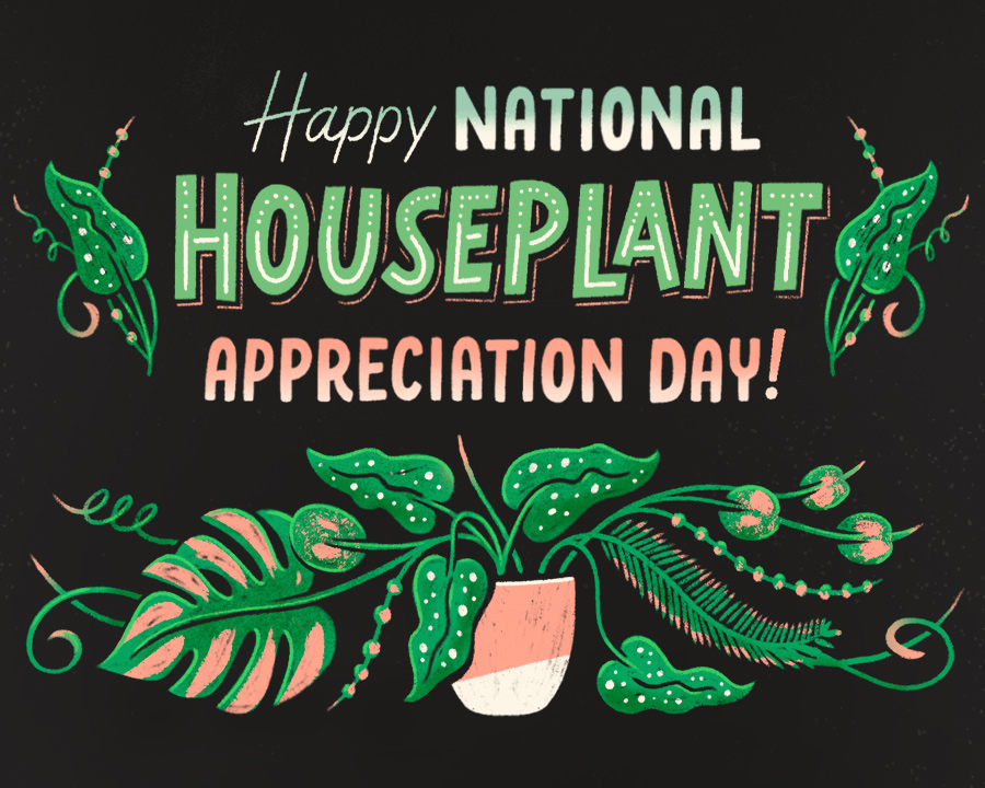 National Houseplant Appreciation Day